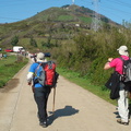 Cornites (211)